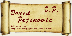 David Pejinović vizit kartica